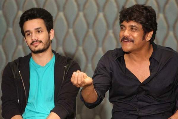 nagarjuna praises akhil performance