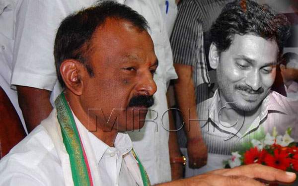 raghuveera-reddy ys jagan
