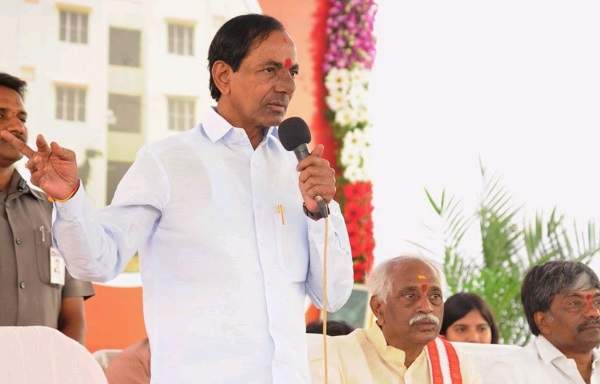 telangana cm kcr wildcard