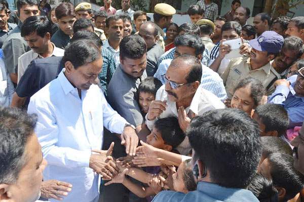 trs warangal by elections kcr