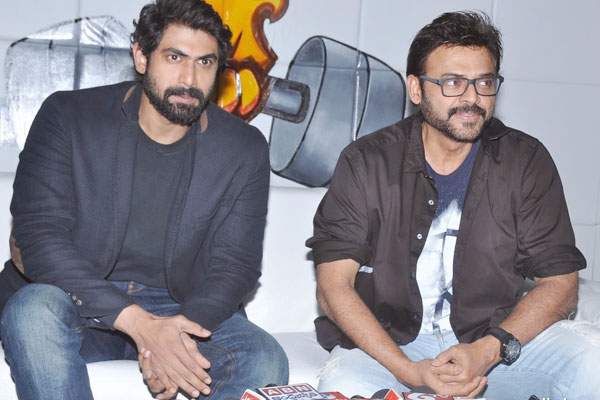 venkatesh and raana multi starrer