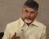 Naidu's check to Somu Veerraju?