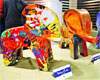 salman khan shahrukh khan amitabh bachchan art exhibition