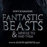fantastic-beasts-trailer-talk