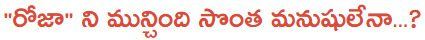 roja ycp
