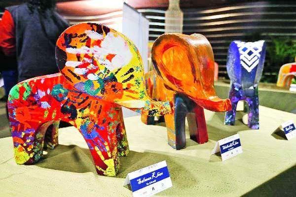 salman khan shahrukh khan amitabh bachchan art exhibition