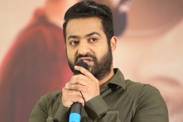 NTR about nannaku prematho collections