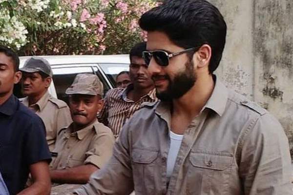 Naga chaitanya majnu