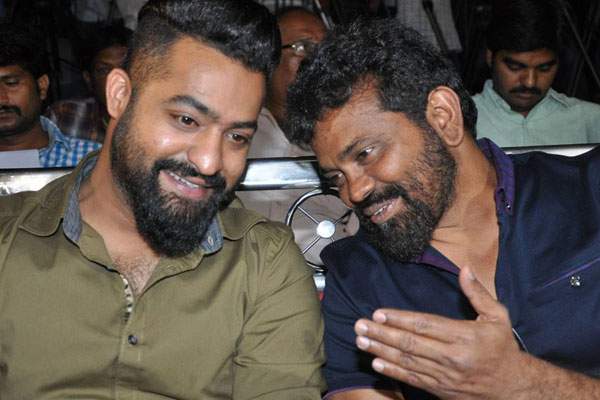 Sukumar made me do five versions -NTR