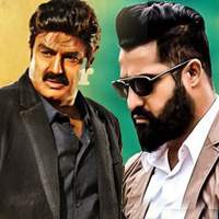 balakrishna-versus-ntr