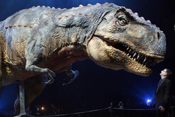 dinosaur-fossil fouind in gujarat