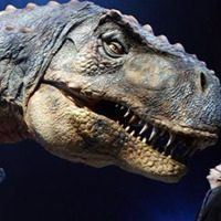 dinosaur-fossil fouind in gujarat