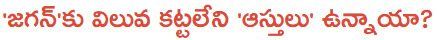 jagan assets
