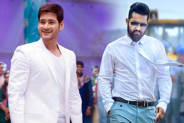 mahesh-ntr