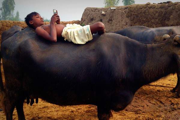 study-indians-cant-do-with-out-mobile