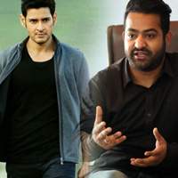 ntr about mahesh 1 nenokkadine movie