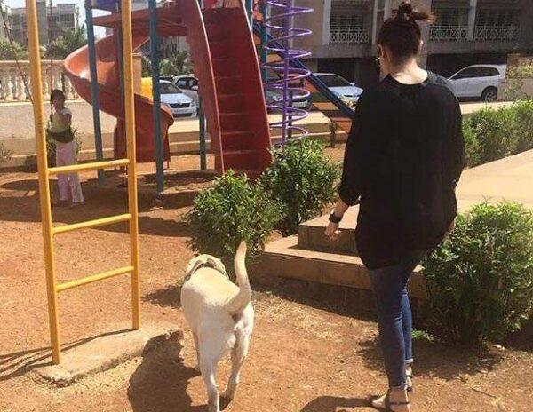 Anushka Sharma dog dude