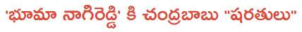 Bhuma nagi reddy cbn