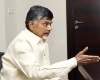 చంద్రబాబు భావాలతో ఏకీభవించిన కాపు సంఘాలు!