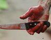 Hyderabadi stabs lover for 'ignoring' him