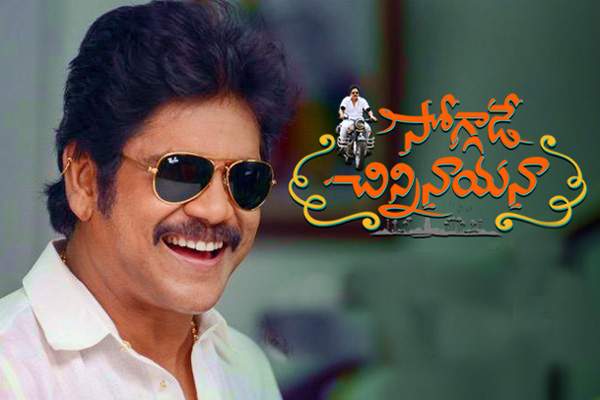nagarjuna-enters-40-cr-club