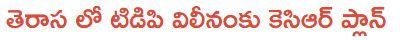 KCR keen on merging TDP with TRS?