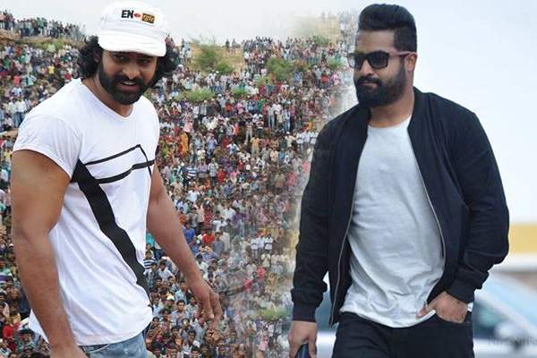prabhas-fans-in-celebrations-tarak-fans-in-bad-mood