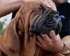 Believe it or not! This man pays 1 Cr for this dog!