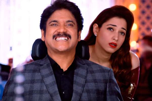 Nagarjuna Oppiri item song Door No Okkatti