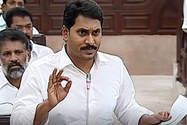 YS Jagan Mohan Reddy Andhra Pradesh Assembly