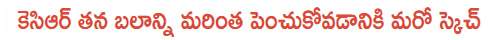 kcr-paleru-byelection