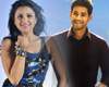 mahesh-and-Parineeti Chopra combo the-rumour-is-back-again