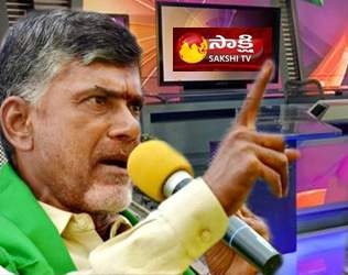 chandrababu naidu-to-take-over-ill-gotten-properties-of-jagan
