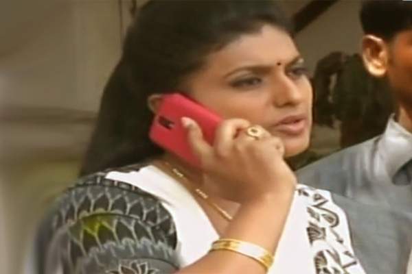 MLA roja