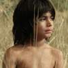 The Jungle Book