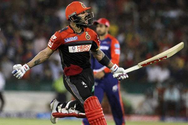 banglore royal challengers rcb has chances winning ipl 2016 trophy