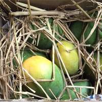 pawan kalyan mangos , Nthiin, Power star, Tollywood, Pawan kalyan sent mangos to nithin