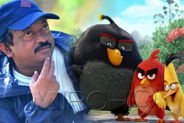 rgv angry birds