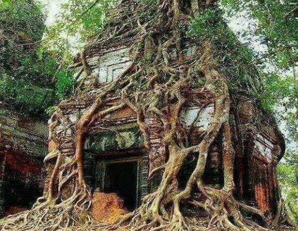 temple, 4000 years old temple,Historic temple, Social Media, Horror movie, Ram gopal Varma, India, discovered old temple, Sivalayam