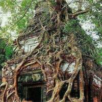 temple, 4000 years old temple,Historic temple, Social Media, Horror movie, Ram gopal Varma, India, discovered old temple, Sivalayam