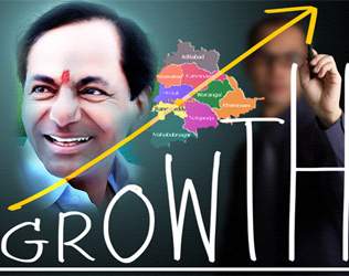 Telangana Growth