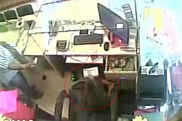 Monkey stealing money