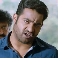 NTR Dubbed movies,NTR Dubbed hindi Movies,Jr NTR Dubbed Temper movie,NTR Dubbed films,NTR Dubbed Tamil movies,NTR Dubbed movies YouTube,Jr NTR Dubbed Movies