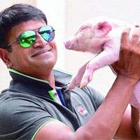Ravi Babu Piglet, Ravi Babu Piglet Movie, Ravi Babu Piglet Movie Release, Ravi Babu Piglet Movie Budget, Ravi Babu Piglet Movie Date, Ravi Babu Piglet CG work