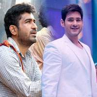 brahmotsavam bichagadu, Mahesh Babu, Srikanth addala, brahmotsavam under loss, brahmotsavam collections, Tamil remake, bichagadu collections, Super Star Mahesh