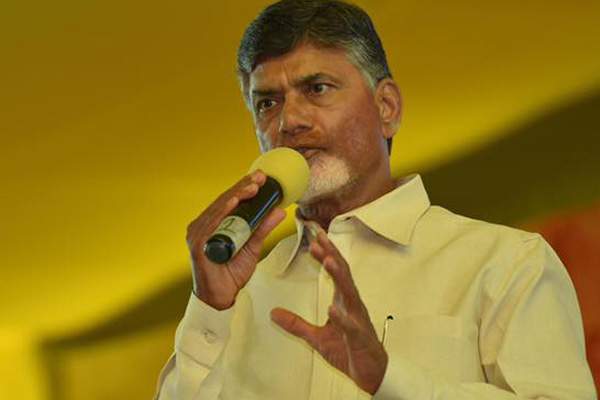chandrababu naidu comments YS jagan