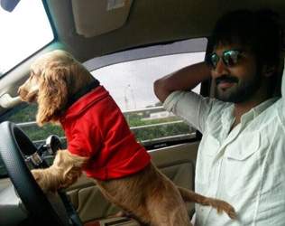 Aadhi Pinisetty, Aadhi Pinisetty Dog Photos, Aadhi Pinisetty Dog Driving Photos, Aadhi Pinisetty Pet Dog Photos, Aadhi Pinisetty Dog Stills, Aadhi Pinisetty Dog Driving Photos, Aadhi Pinisetty Pet Dog Driving Photos
