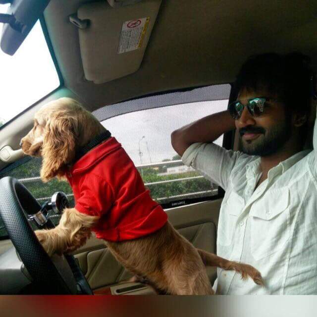 Aadhi Pinisetty, Aadhi Pinisetty Dog Photos, Aadhi Pinisetty Dog Driving Photos,  Aadhi Pinisetty Pet Dog Photos,  Aadhi Pinisetty Dog Stills,  Aadhi Pinisetty Dog Driving Photos,  Aadhi Pinisetty Pet Dog Driving Photos