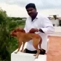 Animal Abuse, Man drops dog from top floor, Chennai Man drops dog, Chennai Man kills dog, Chennai Man Dog