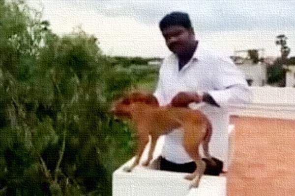 Animal Abuse, Man drops dog from top floor, Chennai Man drops dog, Chennai Man kills dog, Chennai Man Dog Abuse, Dog killed